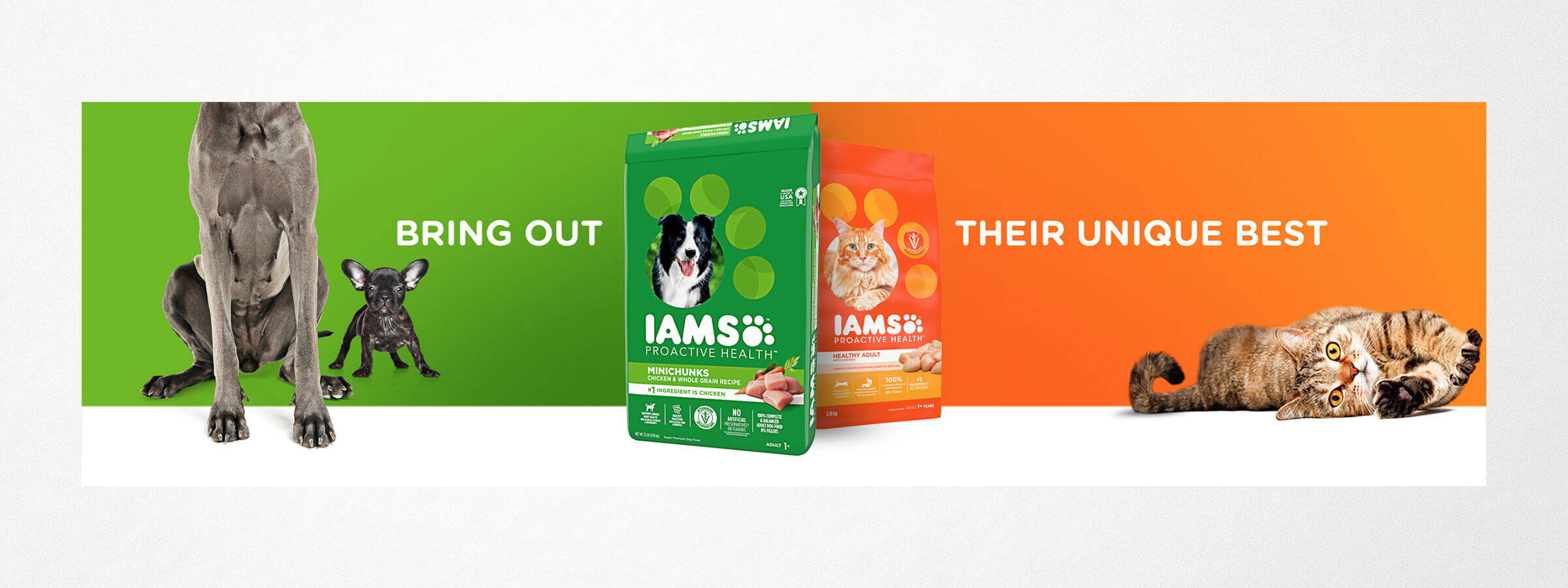 IAMS Ad