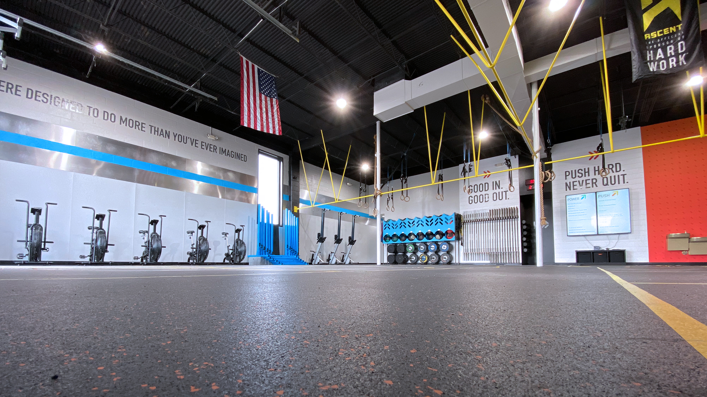 Iron Tribe Fitness