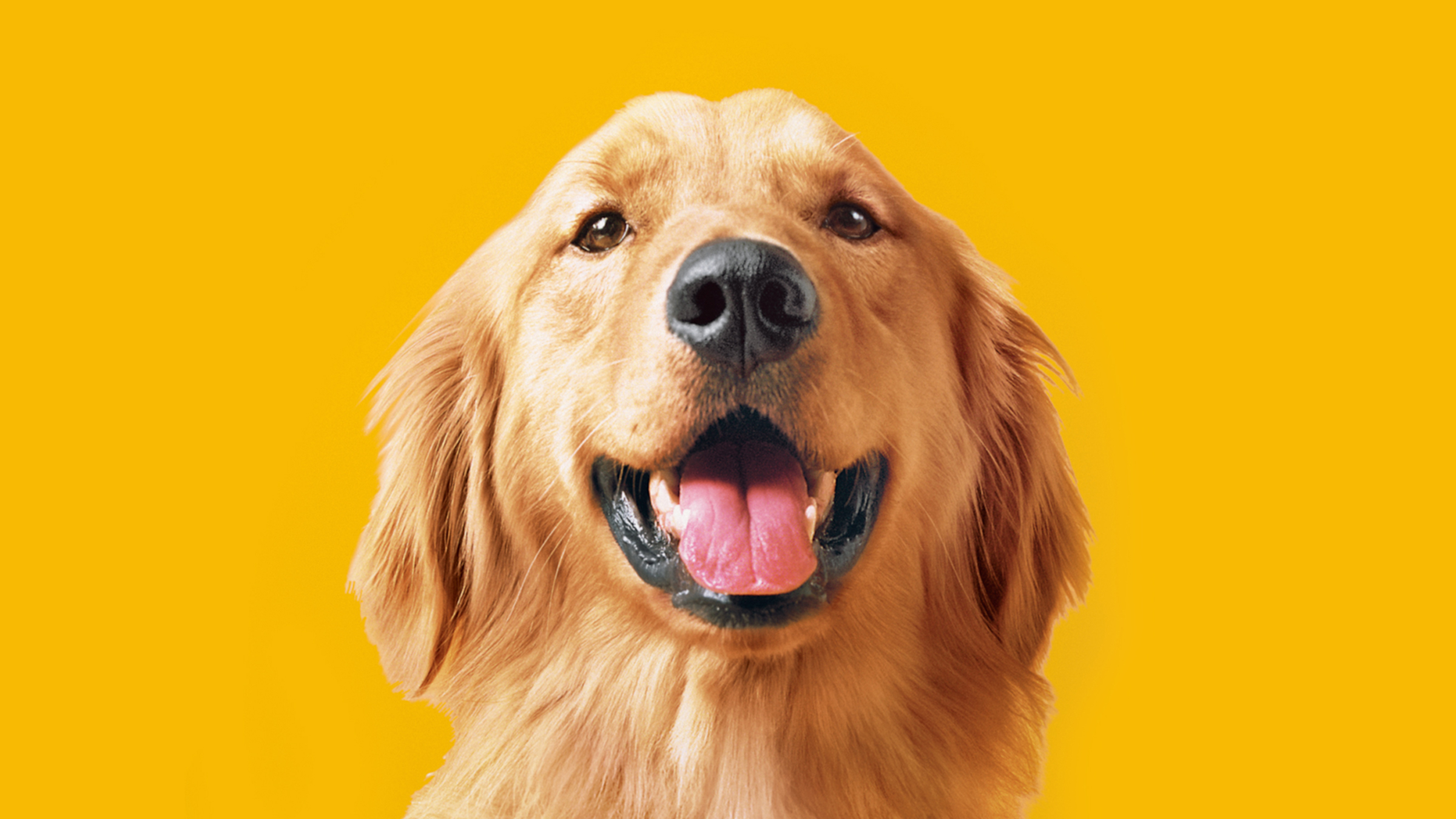 Mars Petcare